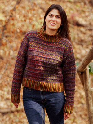 Colorwork Knitted Turtleneck Sweater