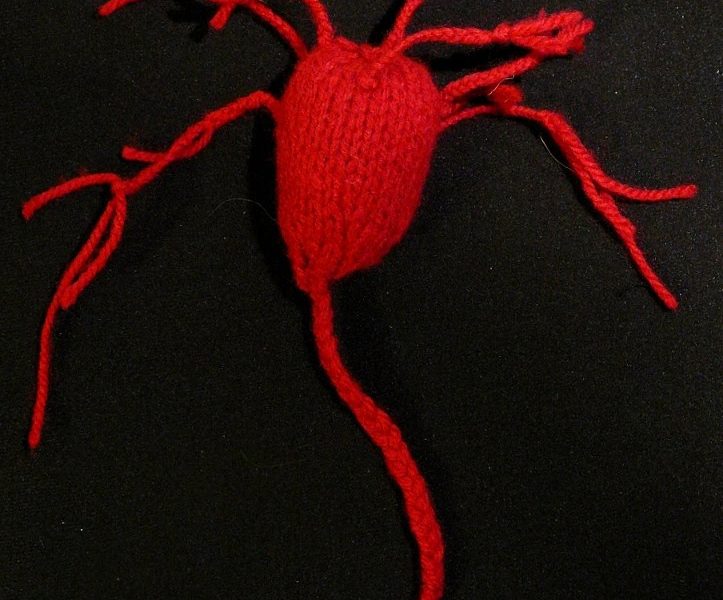 Knit a Neuron