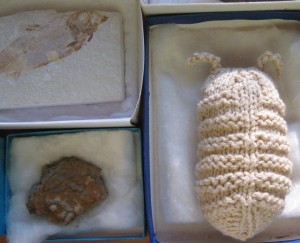 Knit Trilobite