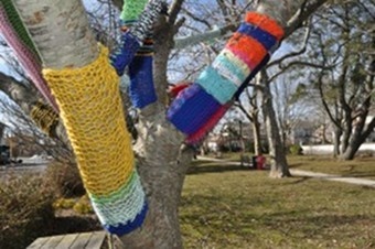 Knitting Vandals Launch Purl Attack