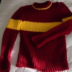 Quidditch Sweater