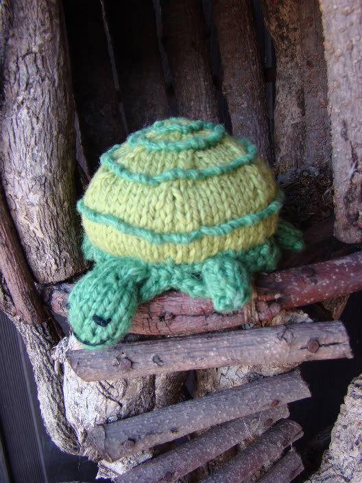 Tuck the Turtle Free Knitting Pattern