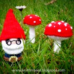 Mr Gnome and Mushrooms Knit Pattern