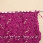 Braided Lace Stitch Pattern