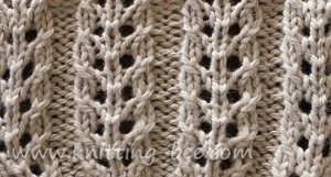 Double Eyelet Rib