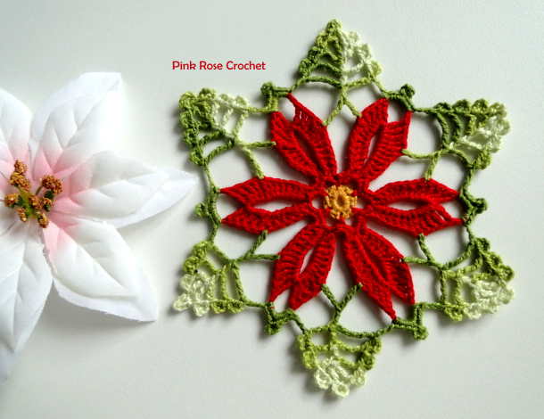 Crochet Chhristmas Flower Motif