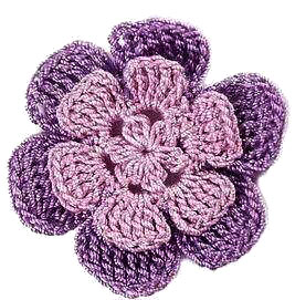 Purple Two Tone