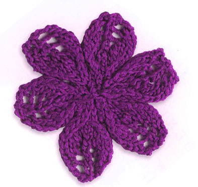 Lace Flower with 6 Petals