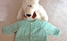Seamless Yoked Baby Sweater