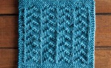 Ripples Dishcloth