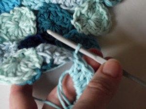 Crochet Sea Pennies 8