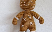 Ginger – The Gingerbread Cat