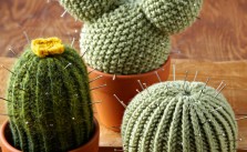 Knitted Cactus – Free Knitting Pattern