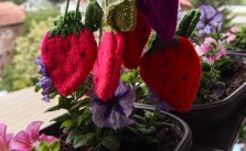 Strawberry coin bag