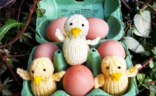 Easter chick free knitting pattern