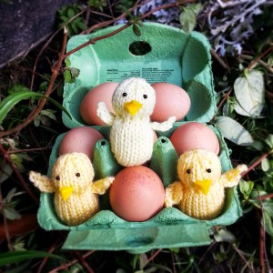 Easter chick free knitting pattern