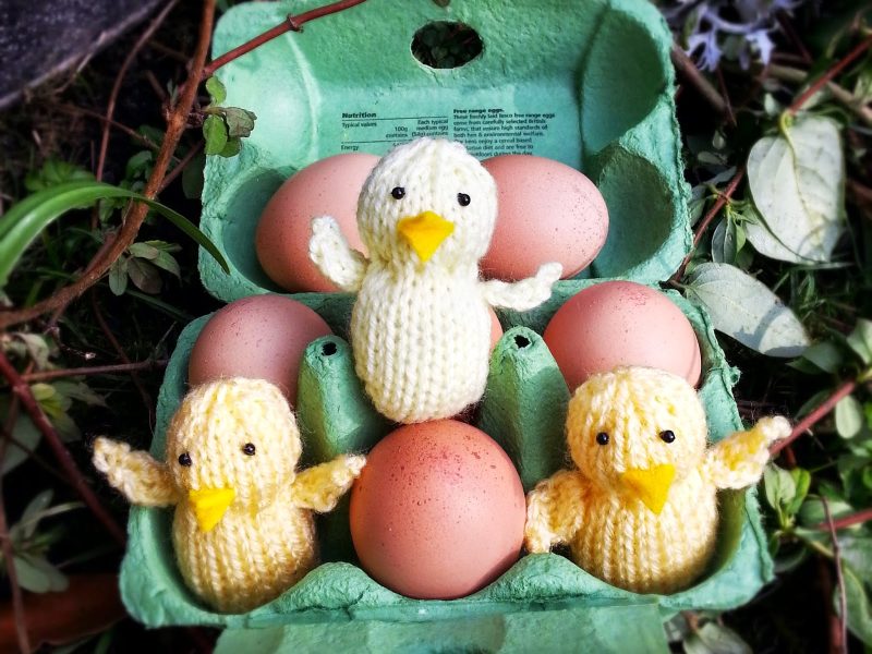 Easter chick free knitting pattern