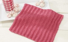 Simple Sorbet Dishcloth Free Knitting Pattern