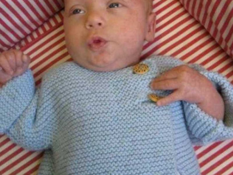 Garter Stitch Baby Sweater Free Knitting Pattern