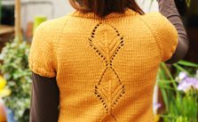 Leaflet Short Sleeves Lace Feature Knit Cardigan Pattern