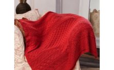 Caron Lace Panel Throw Free Intermediate Knit Pattern