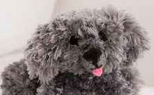 My Precious Puppy Free Knitting Pattern