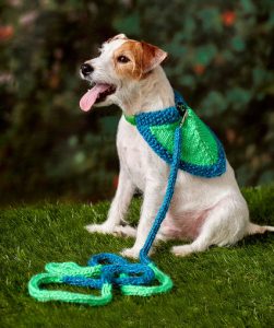 Flashy Dog Leash & Bandana Free Knitting Pattern