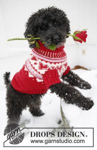 Christmas Dog Sweater Free Knitting Pattern