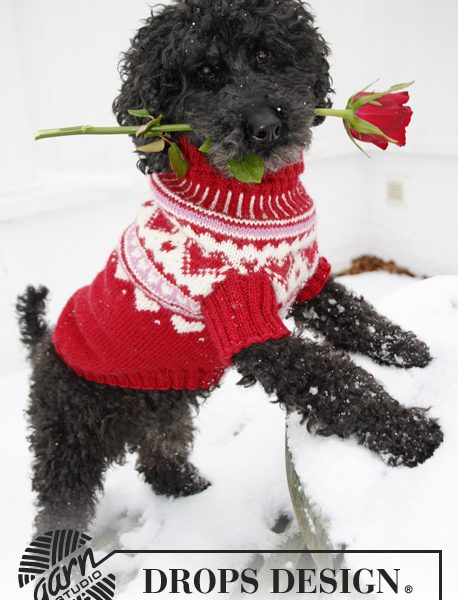 Christmas Dog Sweater Free Knitting Pattern