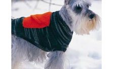 Dog Coat With Cargo Pockets Free Knitting Pattern