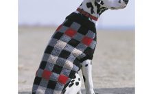 Patons Canine Checks Jacket Free Knitting Pattern