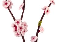 Blossom Free Flower Knitting Pattern