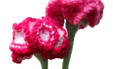 Carnations Free Flower Knitting Pattern