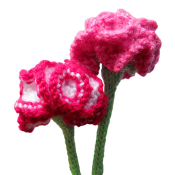 Carnations Free Flower Knitting Pattern