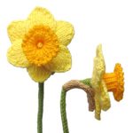 Daffodils Free Flower Knitting Pattern