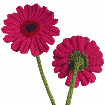 Gerberas Free Flower Knitting Pattern