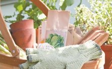 Gardener’s Gloves Free Knitting Pattern