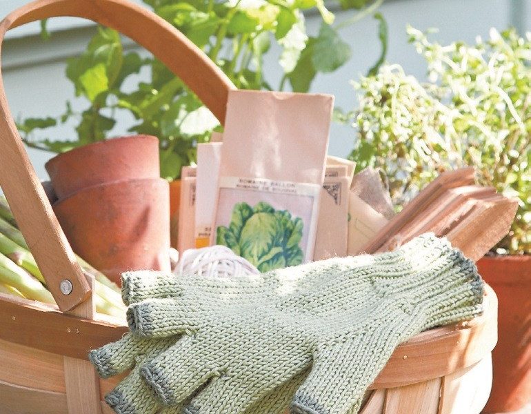 Gardener’s Gloves Free Knitting Pattern