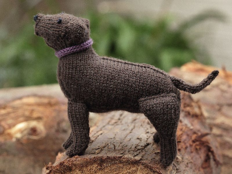 Labrador Retriever Free Dog Knitting Pattern