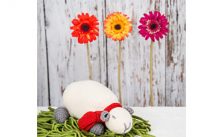 Milly The Sheep Free Knitting Pattern