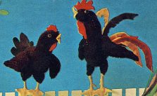 Rooster and Hen Free Knitting Pattern