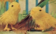 Free Chick and Ducklings Toy Knitting Pattern