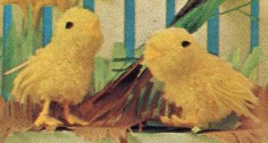 Free Chick and Ducklings Toy Knitting Pattern