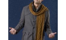 Caron Combo Cable Scarf Free Knitting Pattern
