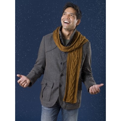 Caron Combo Cable Scarf Free Knitting Pattern