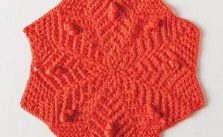 Neoscona Facecloth Free Knitting Pattern