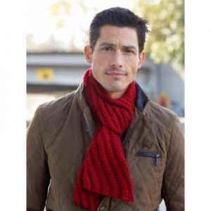 Men's Interchangeable Scarves Free Knitting Pattern