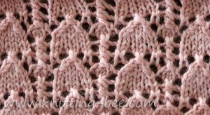 Lace Stitches Dictionary Snowdrop Lace