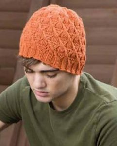 Speer Cap Free Hat Knitting Pattern