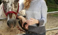 Free Ladies Sweater Knitting Pattern